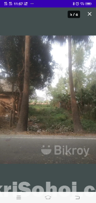 Maloncha Roadside 9 shatak jomi bikroy hobe